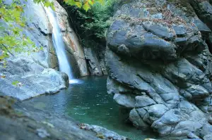Zubní Kaz